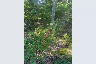 Lot 3 W Side Unionville Road, Steuben, ME 04680 - Photo 3