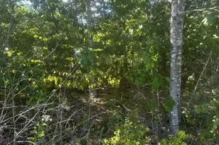 Lot 3 W Side Unionville Rd, Steuben, ME 04680 - Photo 1