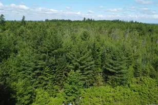 030-007 Off Cardville Rd, Greenbush, ME 04418 - Photo 1