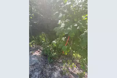 Lot 5 W Side Unionville Road, Steuben, ME 04680 - Photo 3