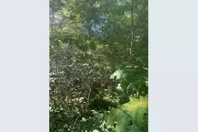 Lot 5 W Side Unionville Road, Steuben, ME 04680 - Photo 1