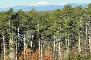 288 Mayberry Hill Rd, Casco, ME 04015 - Photo 49