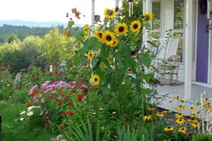 288 Mayberry Hill Rd, Casco, ME 04015 - Photo 5