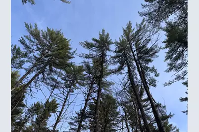 P/0 M20L19 Carter Hill Road, Fryeburg, ME 04037 - Photo 15