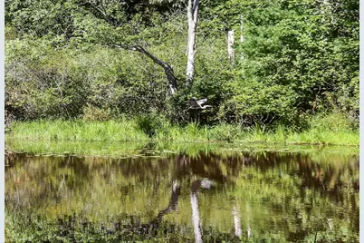 32 Logging Road, York, ME 03902 - Photo 21