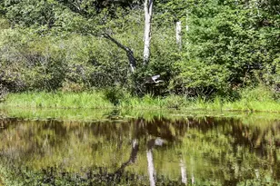 32 Logging Rd, York, ME 03902 - Photo 21