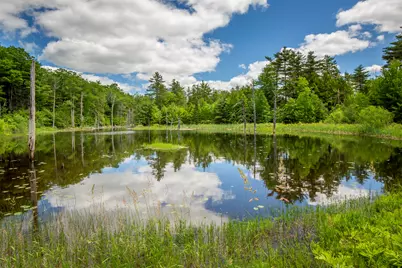 169 Patrick Mountain Lane, Washington, ME 04574 - Photo 3
