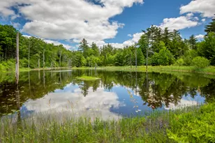 169 Patrick Mountain Ln, Washington, ME 04574 - Photo 3