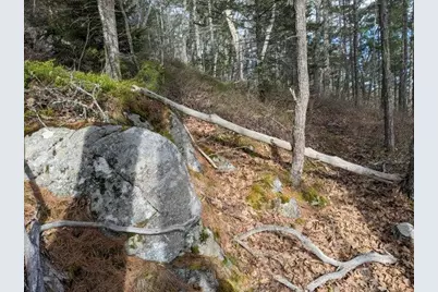Lot 16-3B Blaisdell Cemetery Road, Sullivan, ME 04664 - Photo 11
