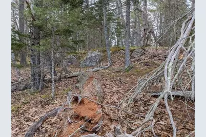 Lot 16-3B Blaisdell Cemetery Road, Sullivan, ME 04664 - Photo 19
