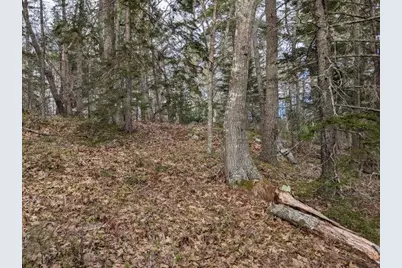 Lot 16-3B Blaisdell Cemetery Road, Sullivan, ME 04664 - Photo 15