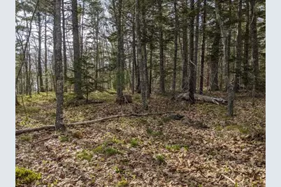 Lot 16-3B Blaisdell Cemetery Road, Sullivan, ME 04664 - Photo 23