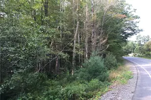 0 Pork Point Rd, Bowdoinham, ME 04008 - Photo 1