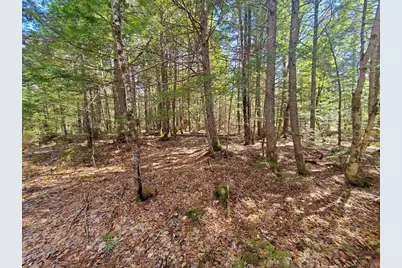 0 Howland (Rte 155) Road, Lagrange, ME 04453 - Photo 5