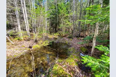 0 Howland (Rte 155) Road, Lagrange, ME 04453 - Photo 11