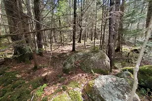 0 Howland (Rte 155) Rd, Lagrange, ME 04453 - Photo 1