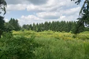 855 County Rd, Lubec, ME 04652 - Photo 3