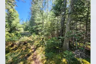 Mp35Lot7-1 Mattson Lane, Blue Hill, ME 04614 - Photo 7