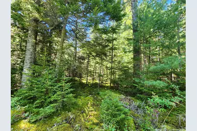 Mp35Lot7-1 Mattson Lane, Blue Hill, ME 04614 - Photo 5