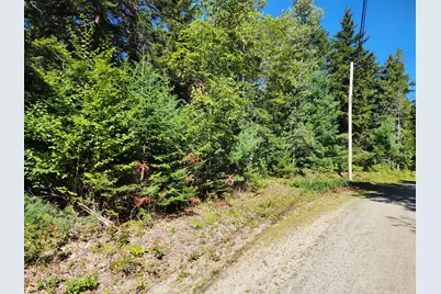 Mp35Lot7-1 Mattson Lane, Blue Hill, ME 04614 - Photo 13