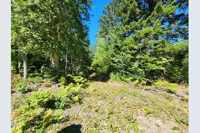 Mp35Lot7-1 Mattson Lane, Blue Hill, ME 04614 - Photo 11
