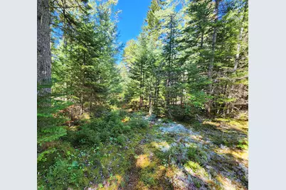Mp35Lot7-1 Mattson Lane, Blue Hill, ME 04614 - Photo 1