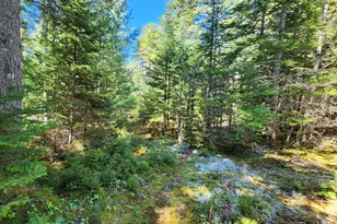 Mp35Lot7-1 Mattson Ln, Blue Hill, ME 04614 - Photo 1