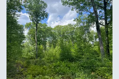 0 Old County Road, Lyman, ME 04002 - Photo 1