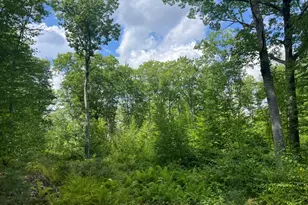 0 Old County Rd, Lyman, ME 04002 - Photo 1