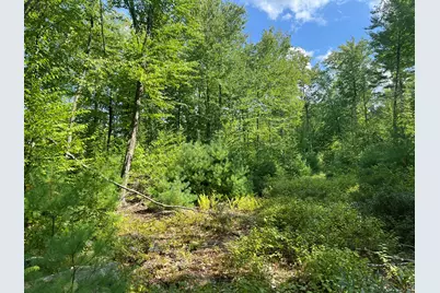 0 Old County Road, Lyman, ME 04002 - Photo 3
