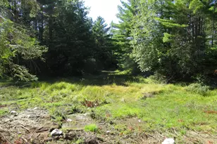 8A N Maxfield Road 0, Maxfield, ME 04453 - Photo 7