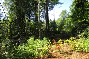 8A N Maxfield Road 0, Maxfield, ME 04453 - Photo 3