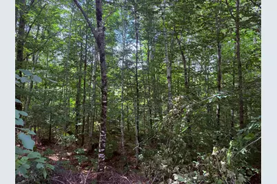 Tbd Sawyer Mountain Road, Limerick, ME 04048 - Photo 3