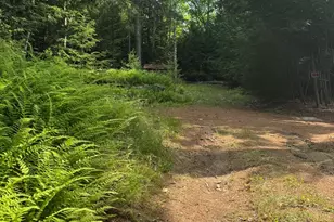 68+69 Mullins Bog West W, Lincolnville, ME 04849 - Photo 33