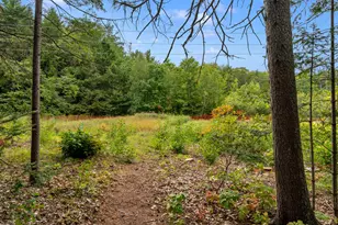 86 Willow Grove Rd, Brunswick, ME 04011 - Photo 51