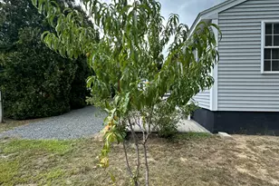 8 Shamrock Ln, Wells, ME 04090 - Photo 73