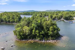 1 Inner Maple Cove Island Island, Casco, ME 04015 - Photo 1