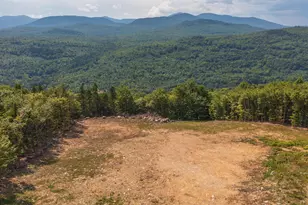 164 Ira Mountain Spur, Springfield, ME 04947 - Photo 9