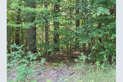385 Swain Road, Rumford, ME 04276 - Photo 3