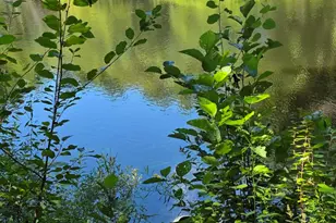 211 State Park Rd, Casco, ME 04015 - Photo 25