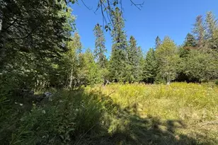 815 Shore Rd, Perry, ME 04667 - Photo 93