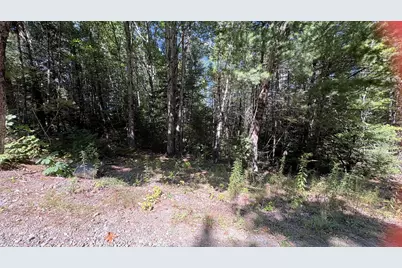 Lot # 020 Griffin Road, Windsor, ME 04363 - Photo 3