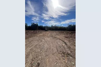 Lot 4.3 Off Estabrook Road, Cary, ME 04471 - Photo 11