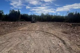 Lot 4 3 Off Estabrook Rd, Cary, ME 04471 - Photo 11