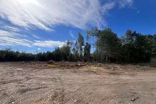 Lot 4 3 Off Estabrook Rd, Cary, ME 04471 - Photo 9