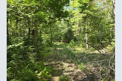 00 French Road, Levant, ME 04456 - Photo 9