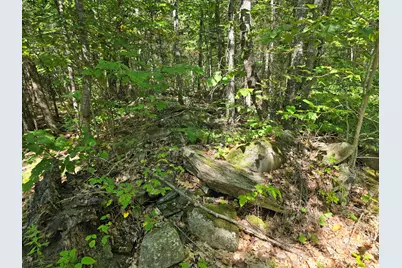 00 French Road, Levant, ME 04456 - Photo 13