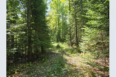 00 French Road, Levant, ME 04456 - Photo 5
