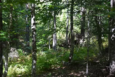 M11 L3-1 Nelson Hill Road, Athens, ME 04912 - Photo 13