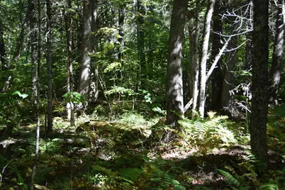 M11 L3-1 Nelson Hill Road, Athens, ME 04912 - Photo 9
